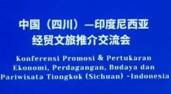 施小琳率四川代表團(tuán)訪問印度尼西亞，雷迪波爾董事長—劉長明和川商總會企業(yè)家隨團(tuán)開展經(jīng)貿(mào)活動